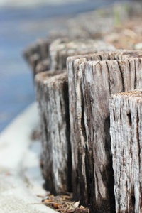 72dpi row of wood